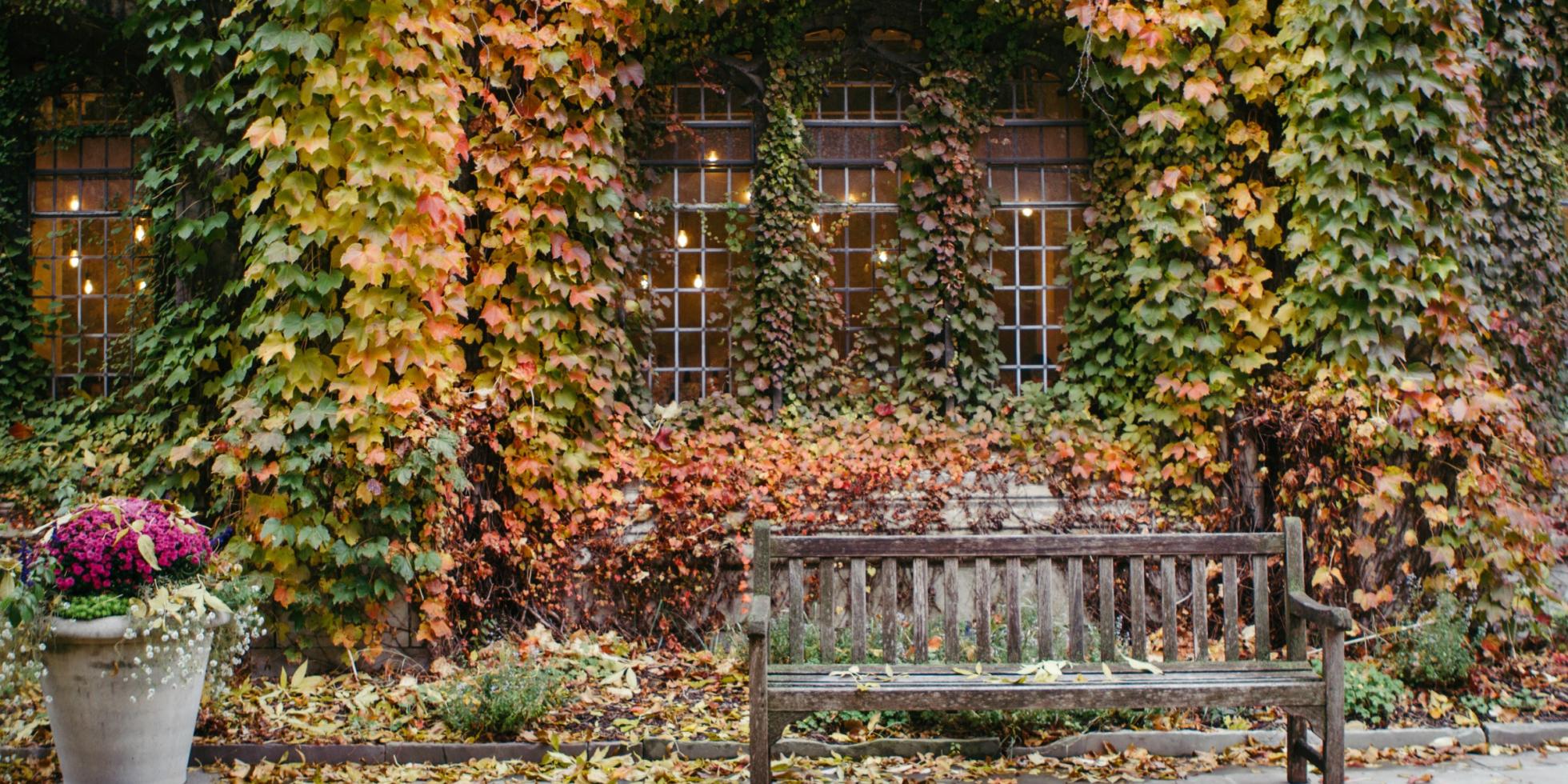 Bench on the University of Chicago campus